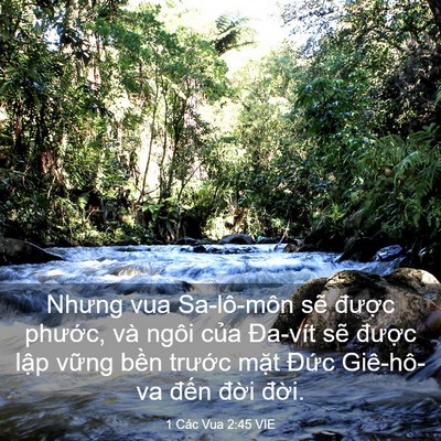 Picture 03 - 1 Các Vua 2:45 VIE - Nhưng vua Sa-lô-môn sẽ được phước, - Bible Verse Picture