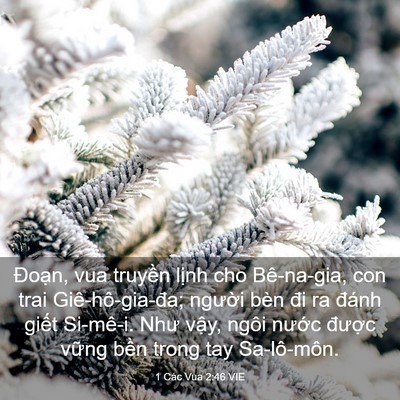 Picture 03 - 1 Các Vua 2:46 VIE - Đoạn, vua truyền lịnh cho Bê-na-gia, con - Bible Verse Picture