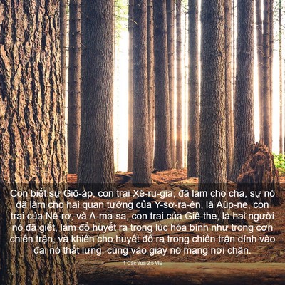 Picture 03 - 1 Các Vua 2:5 VIE - Con biết sự Giô-áp, con trai Xê-ru-gia, - Bible Verse Picture