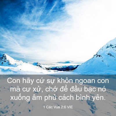 Picture 03 - 1 Các Vua 2:6 VIE - Con hãy cứ sự khôn ngoan con mà cư xử, - Bible Verse Picture