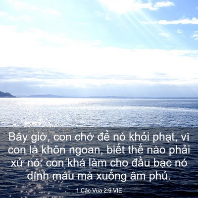 Picture 03 - 1 Các Vua 2:9 VIE - Bây giờ, con chớ để nó khỏi phạt, - Bible Verse Picture