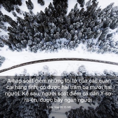 Picture 03 - 1 Các Vua 20:15 VIE - A-háp soát điểm những tôi tớ của các - Bible Verse Picture