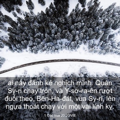 Picture 03 - 1 Các Vua 20:20 VIE - ai nấy đánh kẻ nghịch mình. Quân Sy-ri - Bible Verse Picture