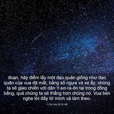 Picture 03 - 1 Các Vua 20:25 VIE - đoạn, hãy điểm lấy một đạo quân - Bible Verse Picture