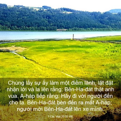 Picture 03 - 1 Các Vua 20:33 VIE - Chúng lấy sự ấy làm một điềm lành, - Bible Verse Picture