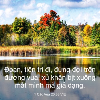 Picture 03 - 1 Các Vua 20:38 VIE - Đoạn, tiên tri đi, đứng đợi trên - Bible Verse Picture