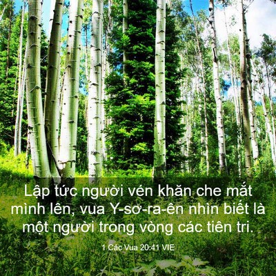 Picture 03 - 1 Các Vua 20:41 VIE - Lập tức người vén khăn che mắt mình - Bible Verse Picture