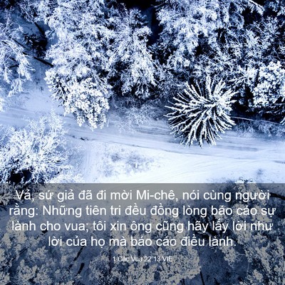 Picture 03 - 1 Các Vua 22:13 VIE - Vả, sứ giả đã đi mời Mi-chê, nói - Bible Verse Picture