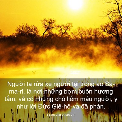 Picture 03 - 1 Các Vua 22:38 VIE - Người ta rửa xe người tại trong ao - Bible Verse Picture
