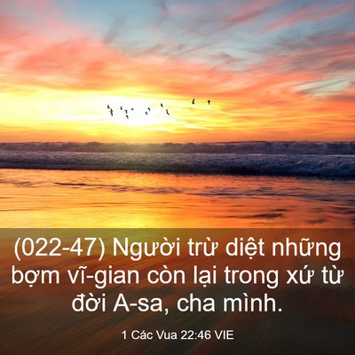 Picture 03 - 1 Các Vua 22:46 VIE - (022-47) Người trừ diệt những bợm - Bible Verse Picture