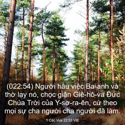 Picture 03 - 1 Các Vua 22:53 VIE - (022:54) Người hầu việc Ba-anh và thờ - Bible Verse Picture