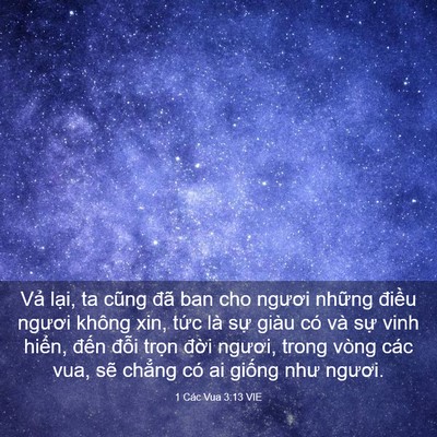 Picture 03 - 1 Các Vua 3:13 VIE - Vả lại, ta cũng đã ban cho ngươi những - Bible Verse Picture