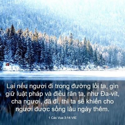 Picture 03 - 1 Các Vua 3:14 VIE - Lại nếu ngươi đi trong đường lối ta, - Bible Verse Picture