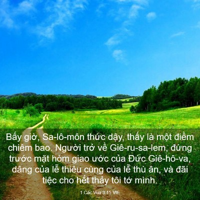 Picture 03 - 1 Các Vua 3:15 VIE - Bấy giờ, Sa-lô-môn thức dậy, thấy là - Bible Verse Picture