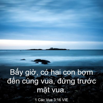 Picture 03 - 1 Các Vua 3:16 VIE - Bấy giờ, có hai con bợm đến cùng vua, - Bible Verse Picture