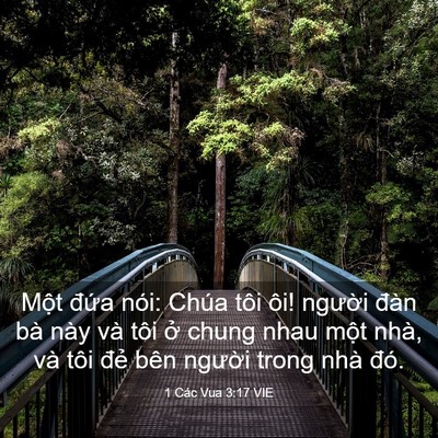 Picture 03 - 1 Các Vua 3:17 VIE - Một đứa nói: Chúa tôi ôi! người đàn - Bible Verse Picture