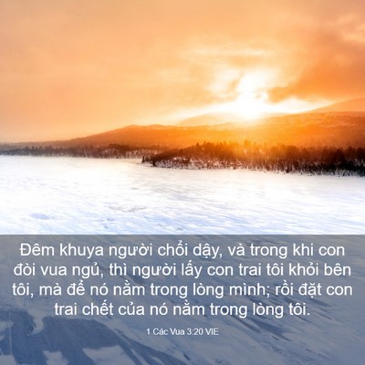 Picture 03 - 1 Các Vua 3:20 VIE - Đêm khuya người chổi dậy, và trong khi - Bible Verse Picture