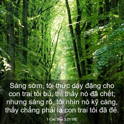 Picture 03 - 1 Các Vua 3:21 VIE - Sáng sớm, tôi thức dậy đặng cho con - Bible Verse Picture
