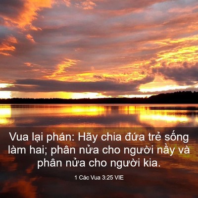 Picture 03 - 1 Các Vua 3:25 VIE - Vua lại phán: Hãy chia đứa trẻ sống - Bible Verse Picture