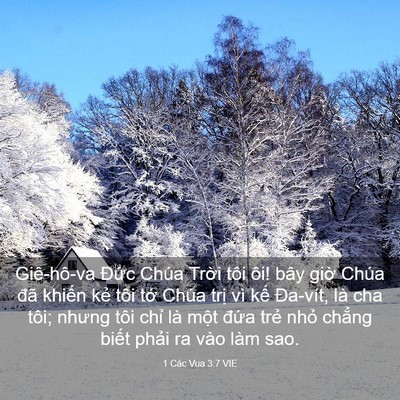 Picture 03 - 1 Các Vua 3:7 VIE - Giê-hô-va Đức Chúa Trời tôi ôi! bây - Bible Verse Picture