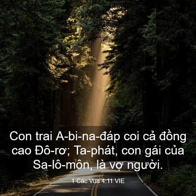 Picture 03 - 1 Các Vua 4:11 VIE - Con trai A-bi-na-đáp coi cả đồng cao - Bible Verse Picture