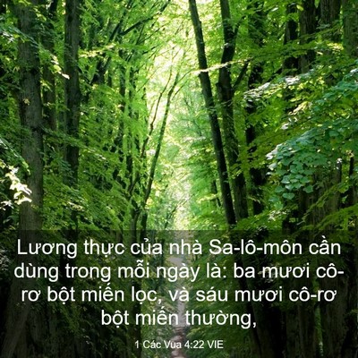 Picture 03 - 1 Các Vua 4:22 VIE - Lương thực của nhà Sa-lô-môn cần dùng - Bible Verse Picture