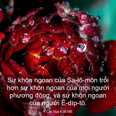 Picture 03 - 1 Các Vua 4:30 VIE - Sự khôn ngoan của Sa-lô-môn trổi hơn - Bible Verse Picture