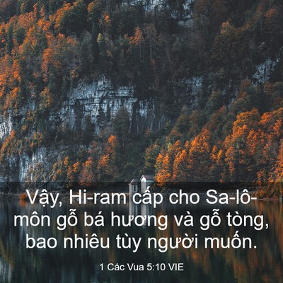 Picture 03 - 1 Các Vua 5:10 VIE - Vậy, Hi-ram cấp cho Sa-lô-môn gỗ bá - Bible Verse Picture