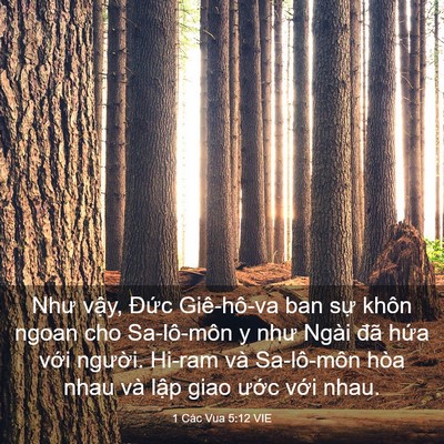 Picture 03 - 1 Các Vua 5:12 VIE - Như vậy, Đức Giê-hô-va ban sự khôn - Bible Verse Picture