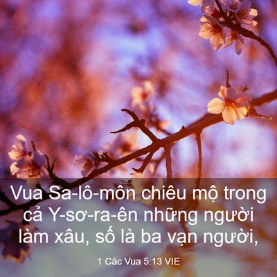 Picture 03 - 1 Các Vua 5:13 VIE - Vua Sa-lô-môn chiêu mộ trong cả - Bible Verse Picture