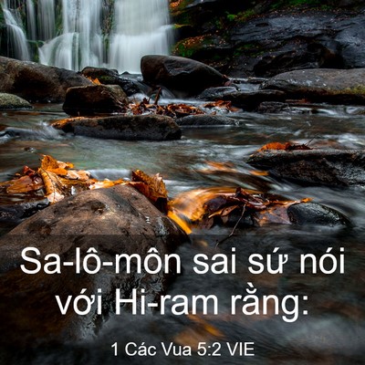 Picture 03 - 1 Các Vua 5:2 VIE - Sa-lô-môn sai sứ nói với Hi-ram - Bible Verse Picture