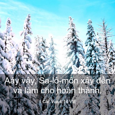 Picture 03 - 1 Các Vua 6:14 VIE - Aáy vậy, Sa-lô-môn xây đền và làm cho - Bible Verse Picture