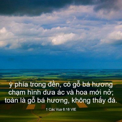 Picture 03 - 1 Các Vua 6:18 VIE - ỳ phía trong đền, có gỗ bá hương - Bible Verse Picture