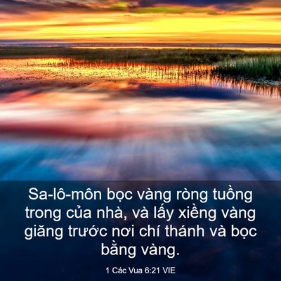 Picture 03 - 1 Các Vua 6:21 VIE - Sa-lô-môn bọc vàng ròng tuồng trong của - Bible Verse Picture