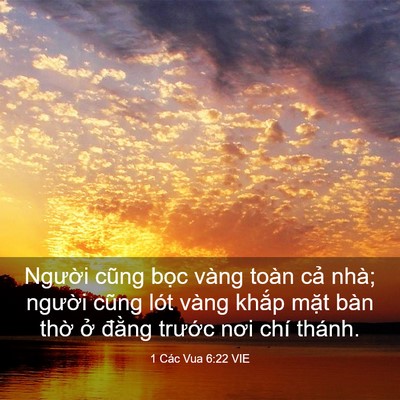 Picture 03 - 1 Các Vua 6:22 VIE - Người cũng bọc vàng toàn cả nhà; - Bible Verse Picture