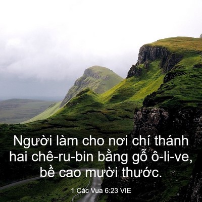 Picture 03 - 1 Các Vua 6:23 VIE - Người làm cho nơi chí thánh hai - Bible Verse Picture