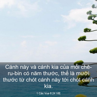 Picture 03 - 1 Các Vua 6:24 VIE - Cánh này và cánh kia của mỗi chê-ru-bin - Bible Verse Picture