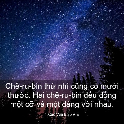 Picture 03 - 1 Các Vua 6:25 VIE - Chê-ru-bin thứ nhì cũng có mười - Bible Verse Picture