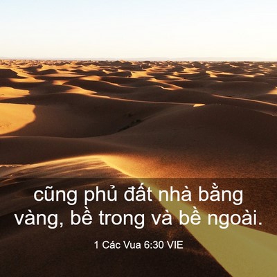 Picture 03 - 1 Các Vua 6:30 VIE - cũng phủ đất nhà bằng vàng, bề trong - Bible Verse Picture