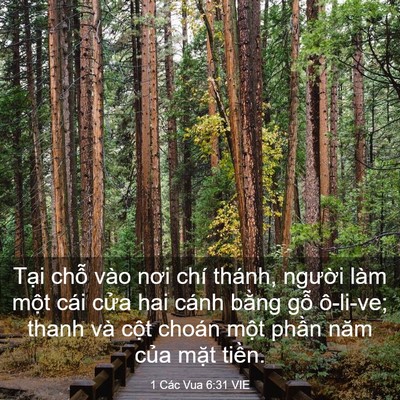 Picture 03 - 1 Các Vua 6:31 VIE - Tại chỗ vào nơi chí thánh, người làm - Bible Verse Picture
