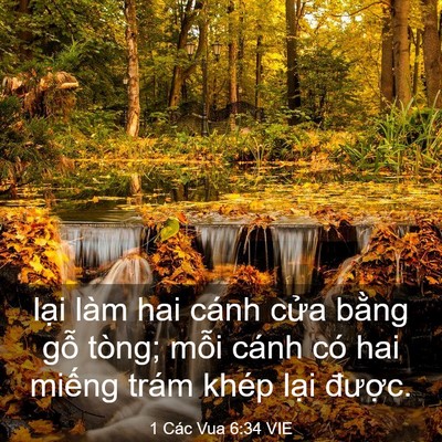 Picture 03 - 1 Các Vua 6:34 VIE - lại làm hai cánh cửa bằng gỗ tòng; - Bible Verse Picture