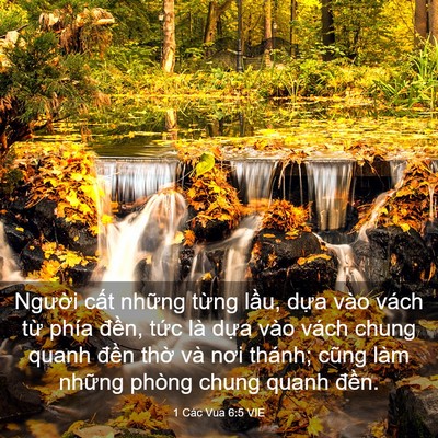 Picture 03 - 1 Các Vua 6:5 VIE - Người cất những từng lầu, dựa vào - Bible Verse Picture