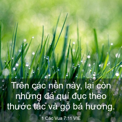 Picture 03 - 1 Các Vua 7:11 VIE - Trên các nền này, lại còn những đá - Bible Verse Picture