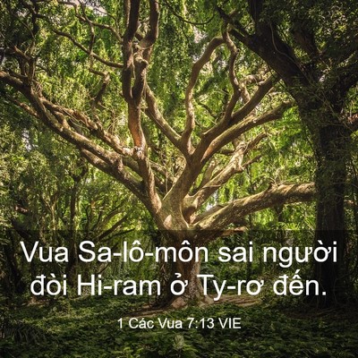 Picture 03 - 1 Các Vua 7:13 VIE - Vua Sa-lô-môn sai người đòi Hi-ram ở - Bible Verse Picture