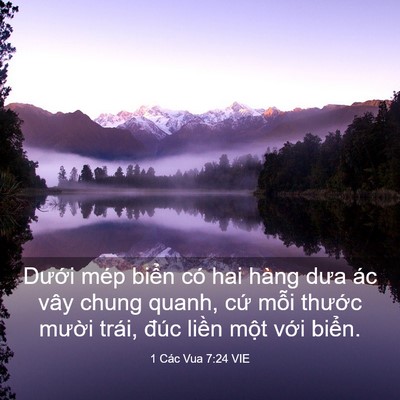 Picture 03 - 1 Các Vua 7:24 VIE - Dưới mép biển có hai hàng dưa ác vây - Bible Verse Picture