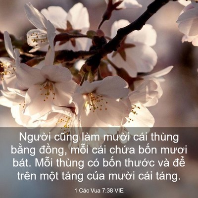 Picture 03 - 1 Các Vua 7:38 VIE - Người cũng làm mười cái thùng bằng - Bible Verse Picture