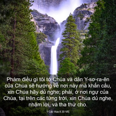 Picture 03 - 1 Các Vua 8:30 VIE - Phàm điều gì tôi tớ Chúa và dân - Bible Verse Picture