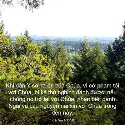 Picture 03 - 1 Các Vua 8:33 VIE - Khi dân Y-sơ-ra-ên của Chúa, vì cớ - Bible Verse Picture