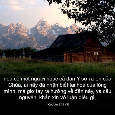Picture 03 - 1 Các Vua 8:38 VIE - nếu có một người hoặc cả dân - Bible Verse Picture