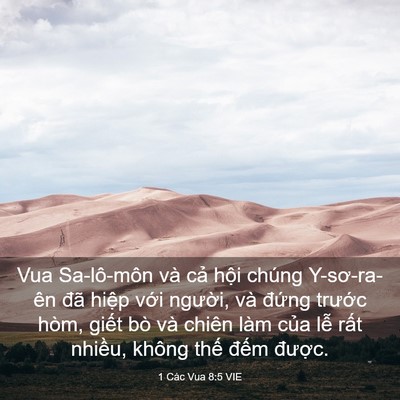Picture 03 - 1 Các Vua 8:5 VIE - Vua Sa-lô-môn và cả hội chúng - Bible Verse Picture